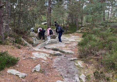 Les Terminales à Fontainebleau
